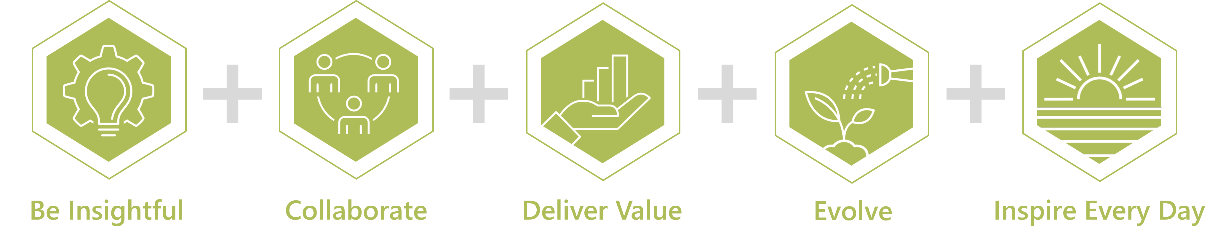 core_values_horizontal_nov2024